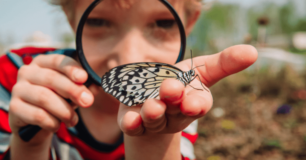 Boy looking at a butterfly through a magnifying glass.