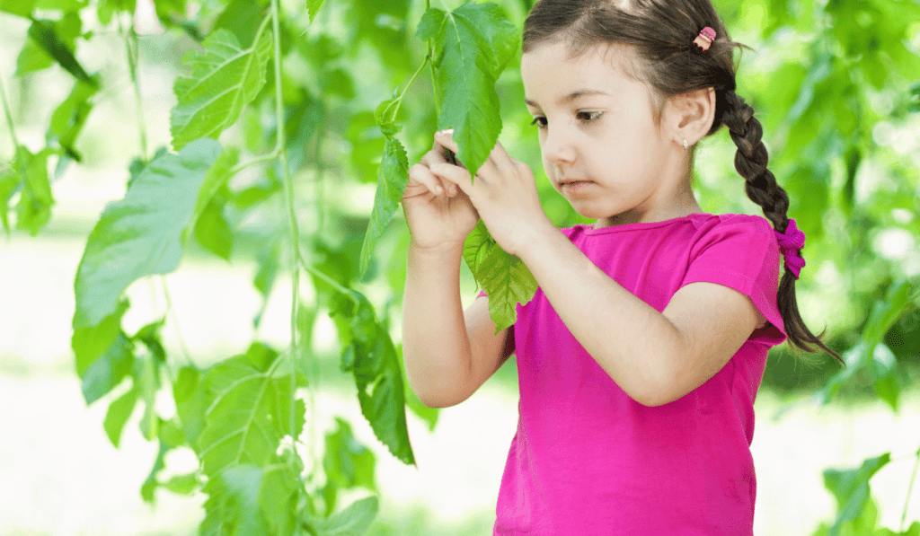 Girl observing leaves on a tree branch. 