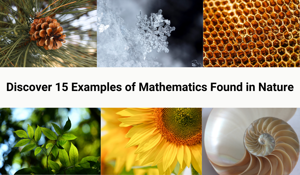 mathematics in nature essay pdf